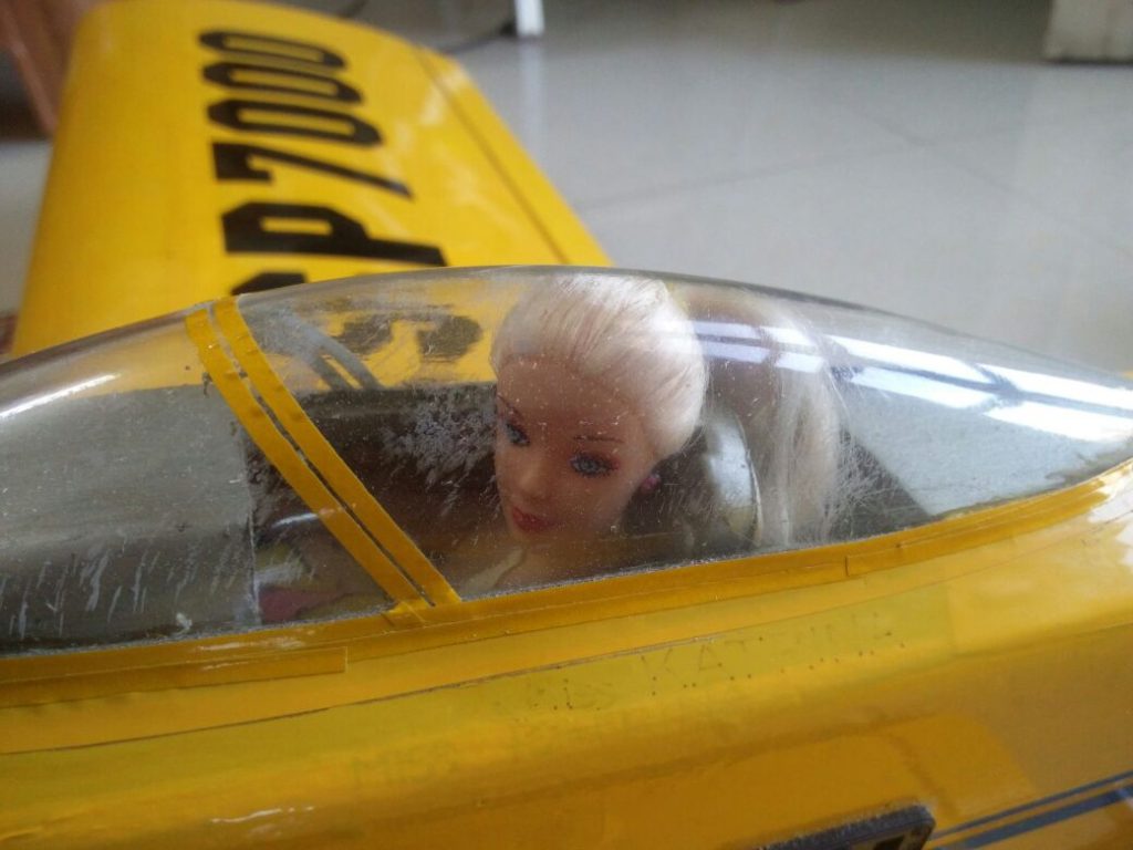 RC Plane for Hobby Flying - Made in India